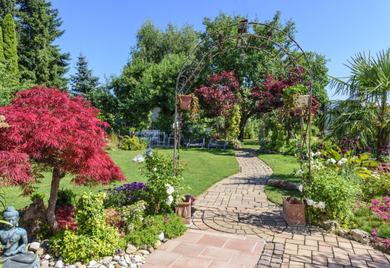 sommerliche Farbenpracht im Ziergarten